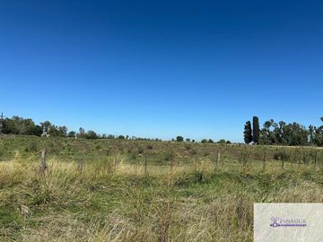 Casa quinta en venta de 5000m2 ubicado en 9 de Julio