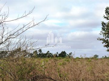 Campo Forestal En Venta