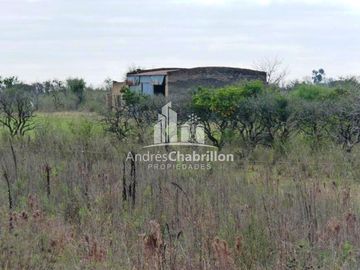 Campo Forestal En Venta