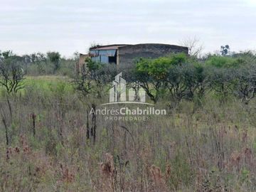 Campo Forestal En Venta