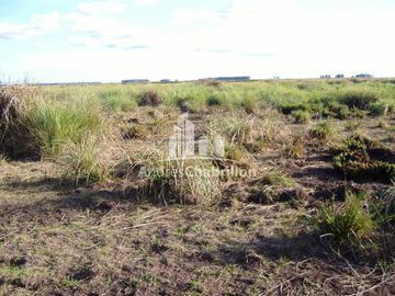 Paso De Los Libres, Corrientes