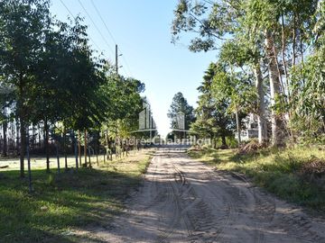 Galpón Con Oficina