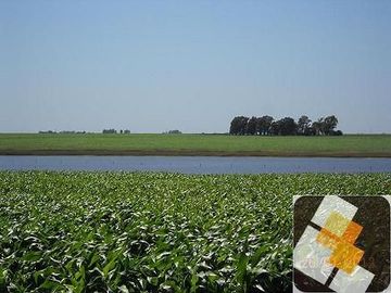 Campo en venta de 900 has ubicado en Puán Pcia. de Buenos Aires