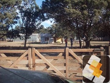 Campo en venta de 900 has ubicado en Puán Pcia. de Buenos Aires