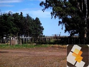 Campo en venta de 900 has ubicado en Puán Pcia. de Buenos Aires