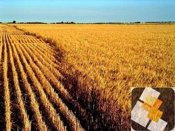 Campo en venta de 900 has ubicado en Puán Pcia. de Buenos Aires