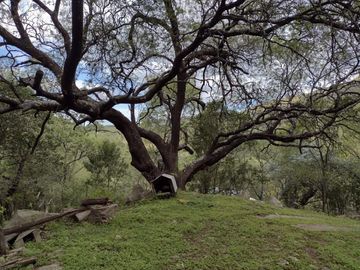 Campo en venta de 180000m2 ubicado en Pan de Azucar