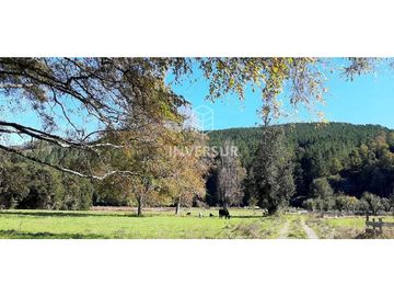 PARCELAS A 5 MIN DE LANCO A ORILLA DEL RIO CRUCES