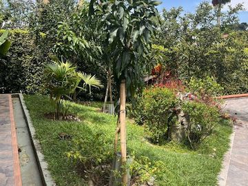 VENTA de CASAS en PEREIRA