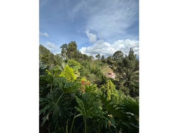 SE VENDE FINCA ENTRE EL CARMEN Y RIONEGRO PARCELACIÓN CERRADA [terrav]