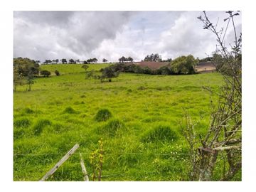 Vendo Hermosa Finca de Trabajo en Cogua 30.000 Mts2