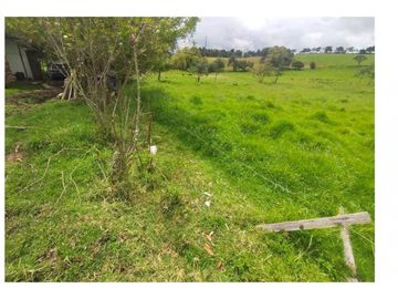 Vendo Hermosa Finca de Trabajo en Cogua 30.000 Mts2