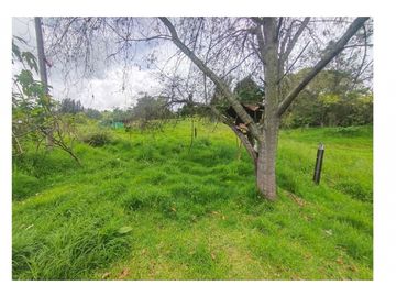 Vendo Hermosa Finca de Trabajo en Cogua 30.000 Mts2