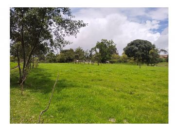 Vendo Hermosa Finca de Trabajo en Cogua 30.000 Mts2