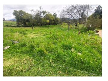 Vendo Hermosa Finca de Trabajo en Cogua 30.000 Mts2