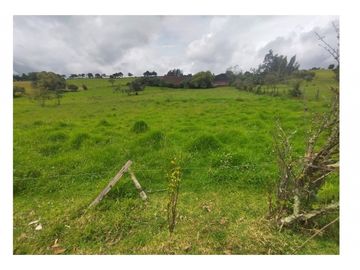 Vendo Hermosa Finca de Trabajo en Cogua 30.000 Mts2