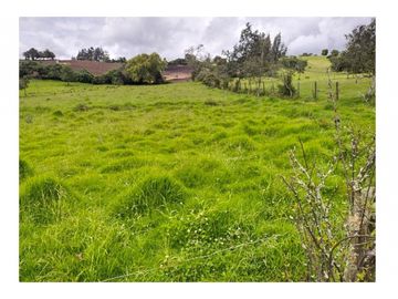 Vendo Hermosa Finca de Trabajo en Cogua 30.000 Mts2
