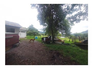 Vendo Hermosa Finca de Trabajo en Cogua 30.000 Mts2