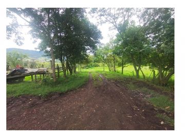 Vendo Hermosa Finca de Trabajo en Cogua 30.000 Mts2