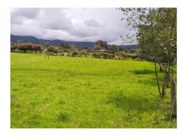 Vendo Hermosa Finca de Trabajo en Cogua 30.000 Mts2