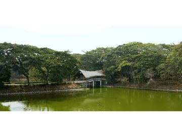 SE VENDE TERRENO EN LAGO DE CAPEIRA (Jkcal)