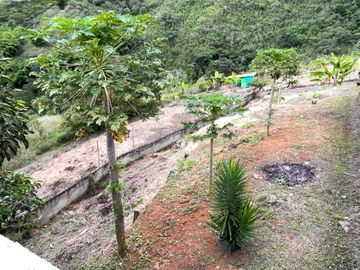 Se Vende Casa Campestre En El Km 32 Callejón Jiguales