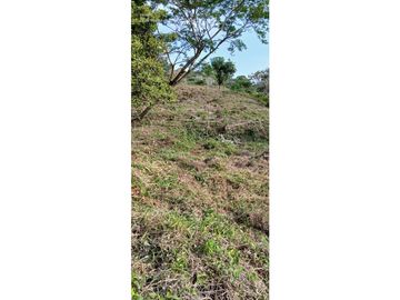 Venta de Terreno en Capira, Trinity Hills Valley