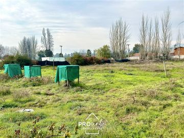 Casa en Venta en Venta Parcela de Terreno Plano 6.235 m2, Lomas del Aguila, Champa, Paine
