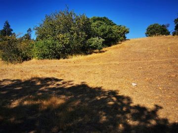 Sitio en Venta en Cancha alegre