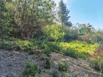 Sitio en Venta en Tranque tutuven en Cauquenes