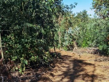Sitio en Venta en Tranque tutuven en Cauquenes