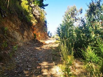 Sitio en Venta en Los Maquis
