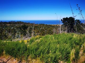 Sitio en Venta en Los Maquis