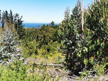 Sitio en Venta en Los Maquis