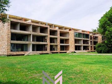 Arboles del Pilar - La Lonja - Pilar