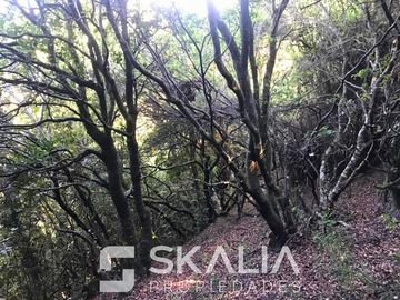 Sitio en Venta en playa Ramuntcho