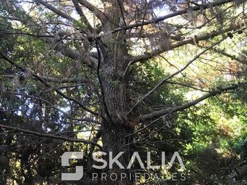 Sitio en Venta en playa Ramuntcho