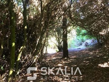 Sitio en Venta en playa Ramuntcho