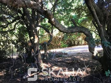 Sitio en Venta en playa Ramuntcho