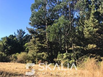 Sitio en Venta en playa Ramuntcho
