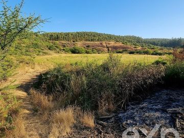 Parcela en Venta en hacienda san enrique