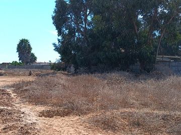 Sitio en Venta en Enrique Lihn