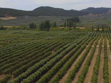 Parcela en venta en TALCA