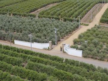 Parcela en venta en TALCA