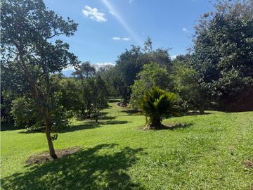 VENDO FINCA EN QUIMBAYA