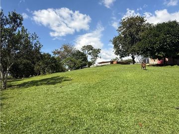 VENDO FINCA EN QUIMBAYA