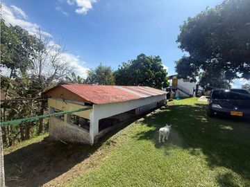VENDO FINCA EN QUIMBAYA