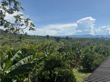 VENDO FINCA EN QUIMBAYA