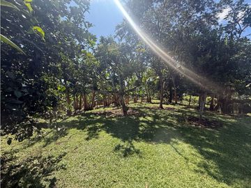 VENDO FINCA EN QUIMBAYA