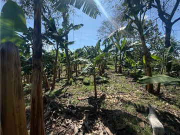 VENDO FINCA EN QUIMBAYA